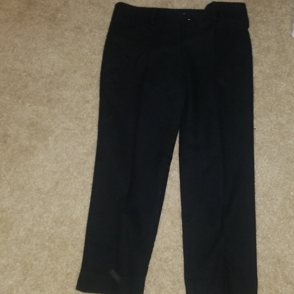 Ann taylor loft pants